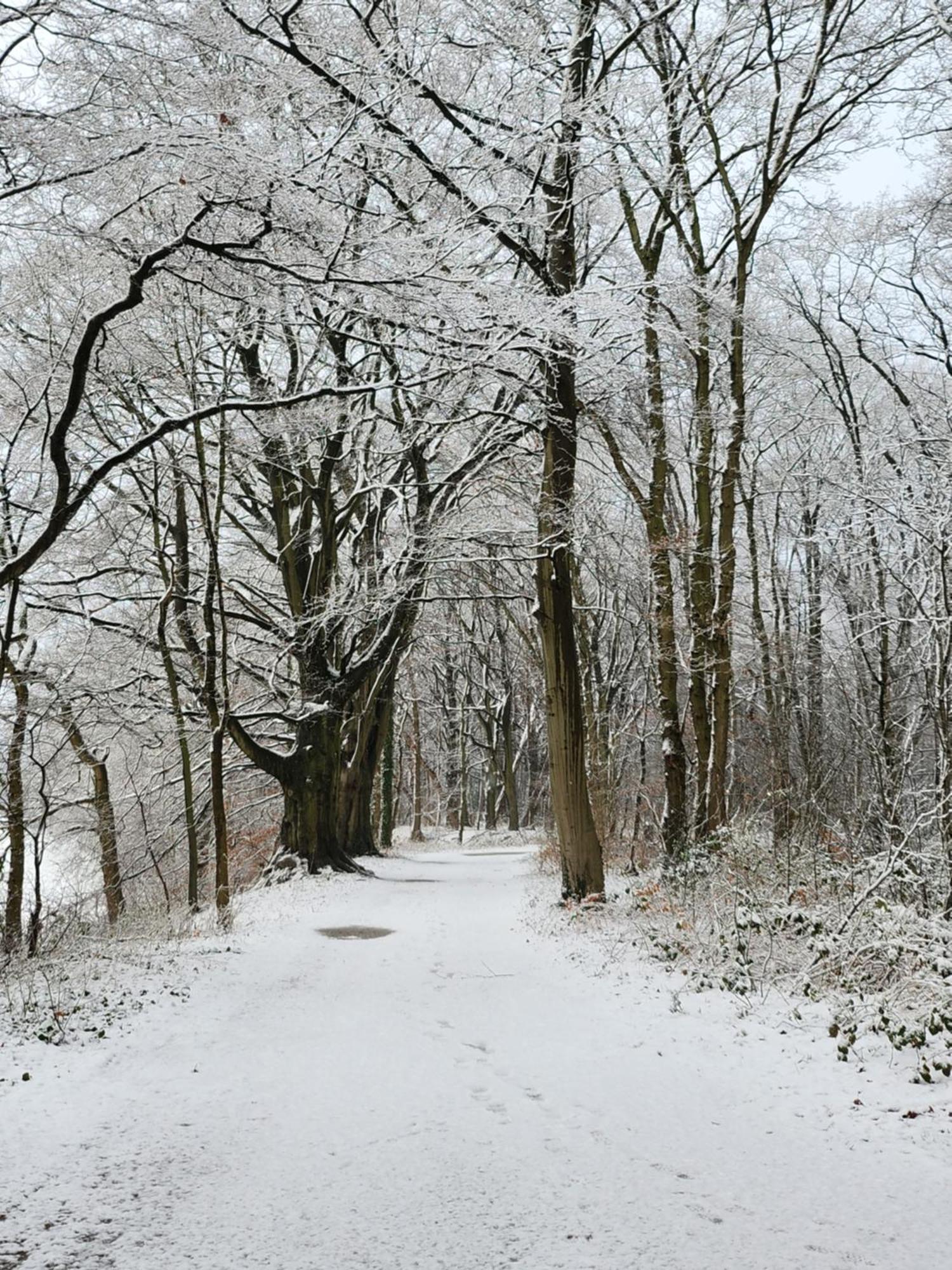 Huize Koempoelan Bed & Breakfast Naarden Dış mekan fotoğraf